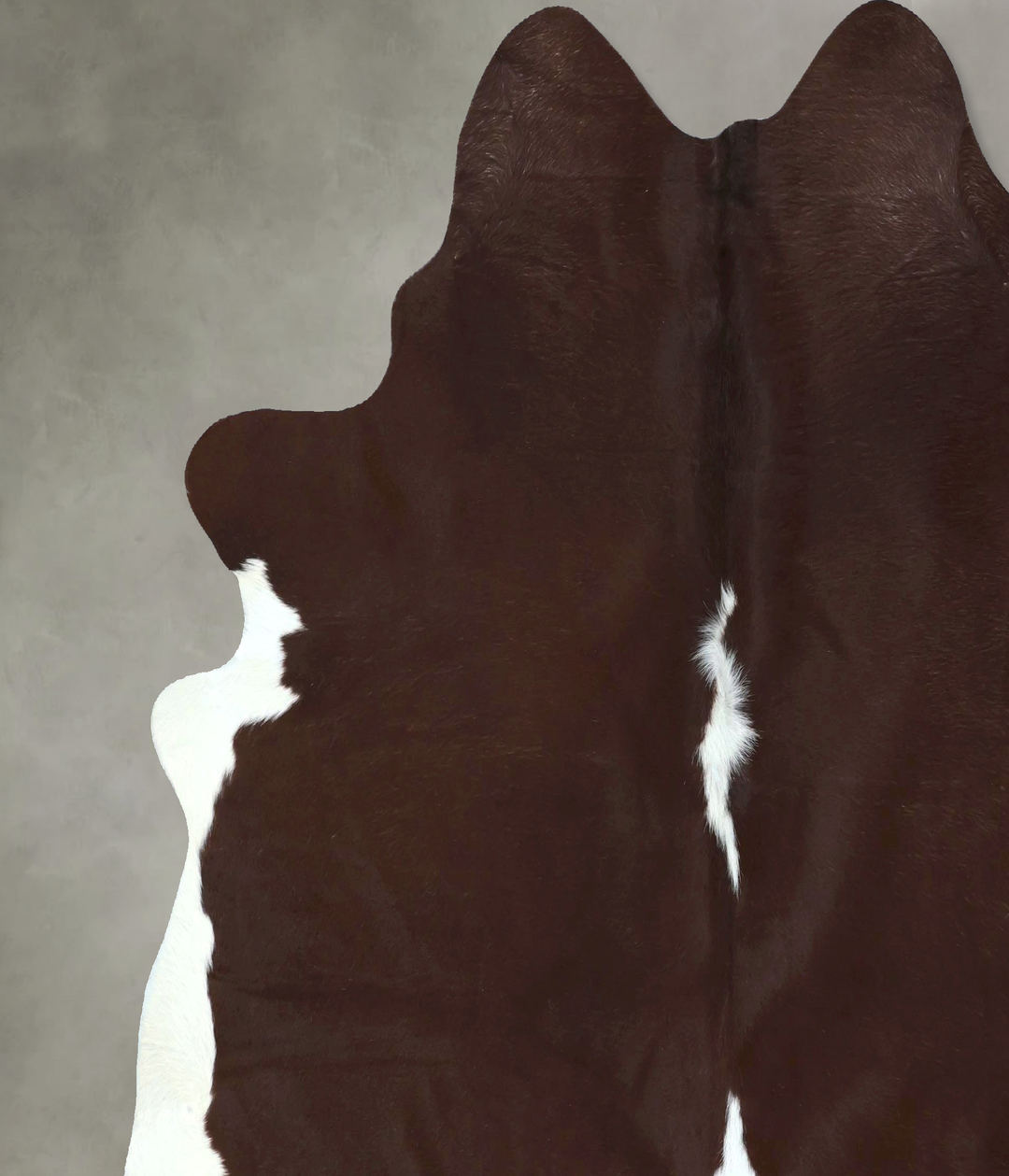 Brown and White Regular XX-Large Brazilian Cowhide Rug 7'5"H x 7'5"W #