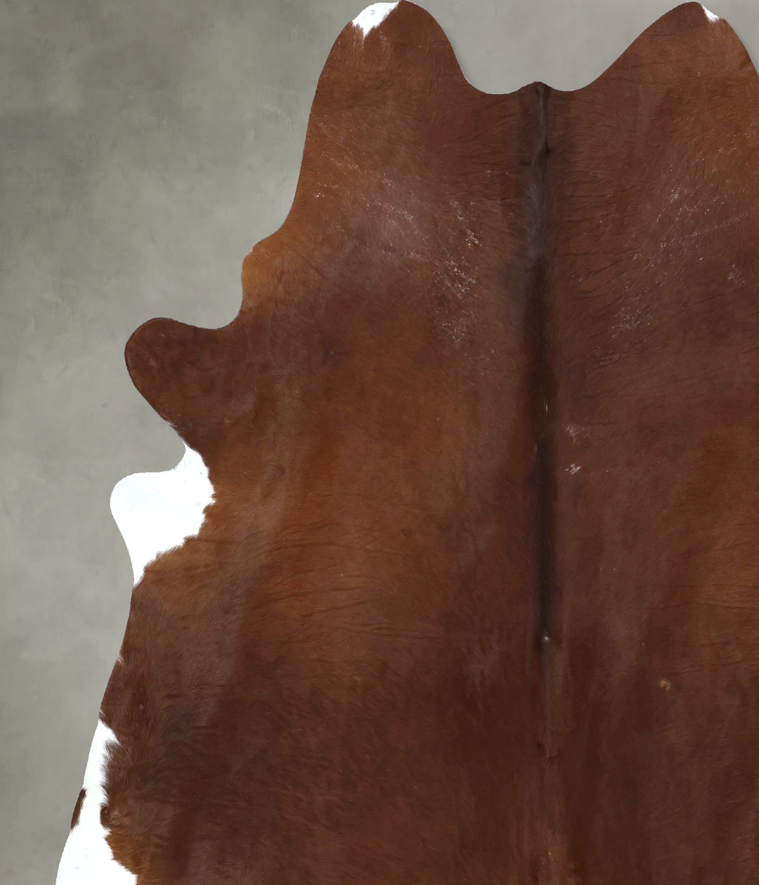 Brown and White Regular XX-Large Brazilian Cowhide Rug 8'4"H x 7'3"W #