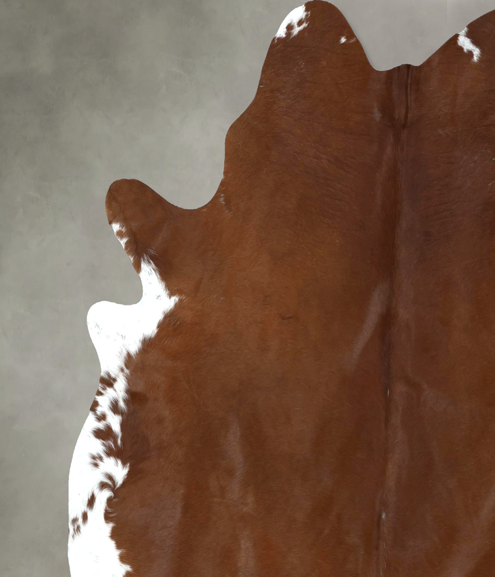 Brown and White Regular XX-Large Brazilian Cowhide Rug 8'4"H x 6'11"W #B20900 by Hudson Hides