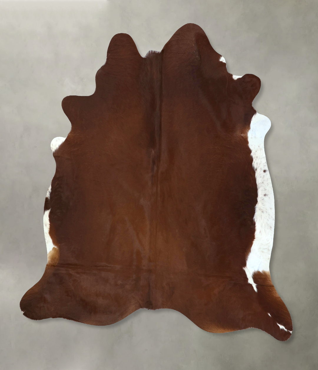 Brown and White Regular XX-Large Brazilian Cowhide Rug 7'4"H x 7'0"W #