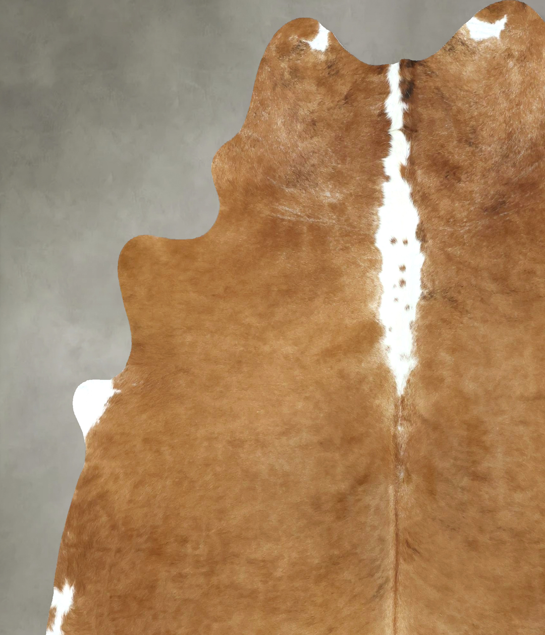 Brown and White Regular XX-Large Brazilian Cowhide Rug 7'6"H x 6'8"W #