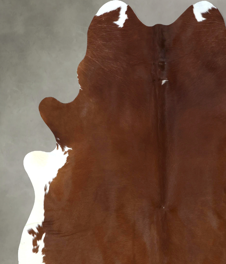 Brown and White Regular XX-Large Brazilian Cowhide Rug 8'3"H x 6'11"W #B20942 by Hudson Hides