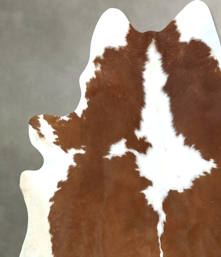 Brown and White XX-Large Brazilian Cowhide Rug 7'6"H x 6'10"W #B20946 by Hudson Hides
