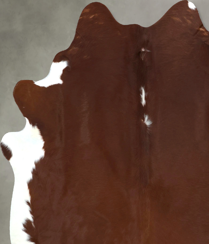 Brown and White Regular X-Large Brazilian Cowhide Rug 7'6"H x 6'1"W #B20961 by Hudson Hides