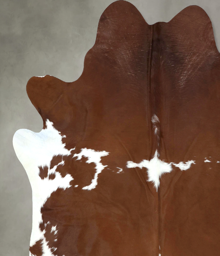Brown and White XX-Large Brazilian Cowhide Rug 8'2"H x 7'1"W #B20965 by Hudson Hides