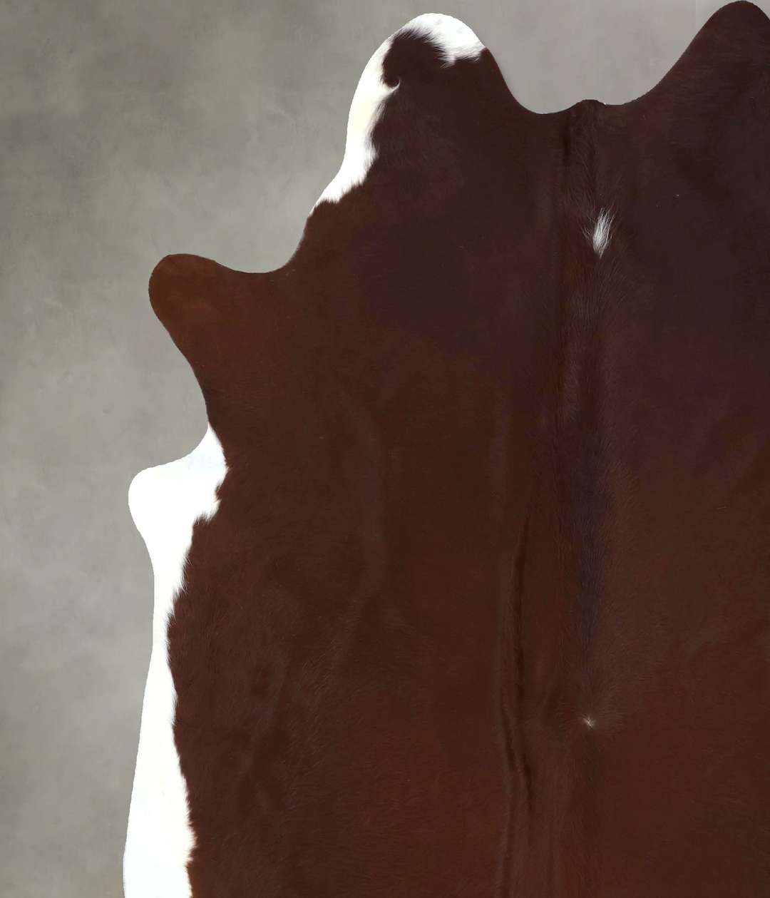 Brown and White Regular XX-Large Brazilian Cowhide Rug 7'11"H x 7'0"W