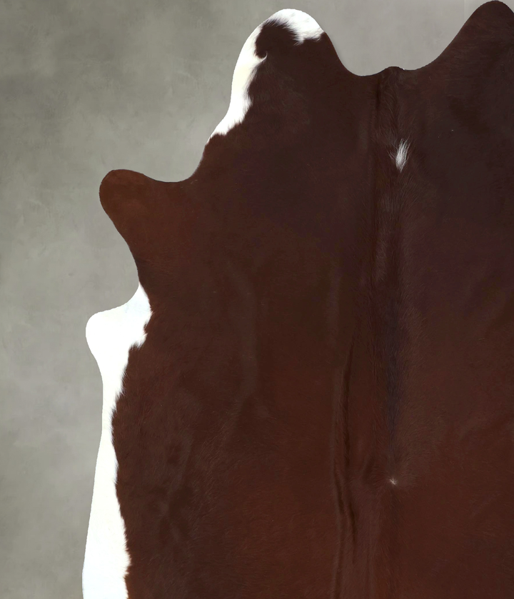 Brown and White Regular XX-Large Brazilian Cowhide Rug 7'11"H x 7'0"W #B20982 by Hudson Hides