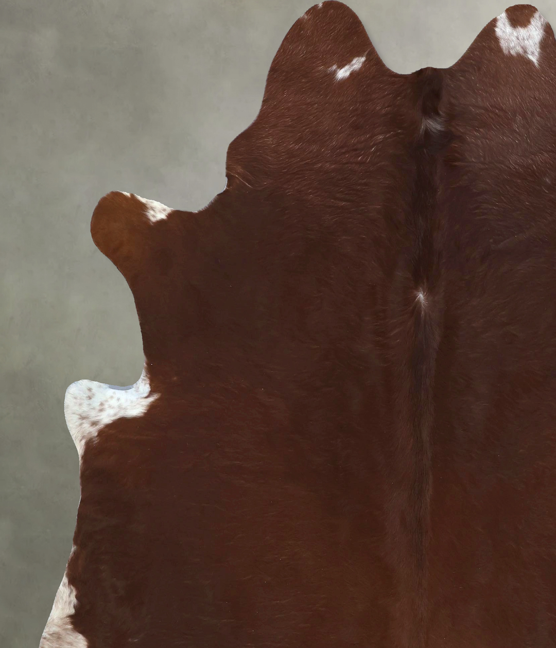 Brown and White Regular X-Large Brazilian Cowhide Rug 7'6"H x 6'6"W #B