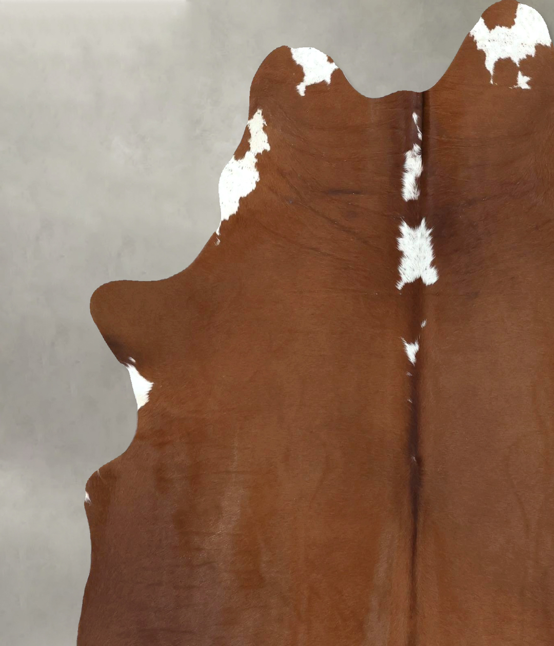 Brown and White Regular Large Brazilian Cowhide Rug 6'7"H x 5'4"W #B20