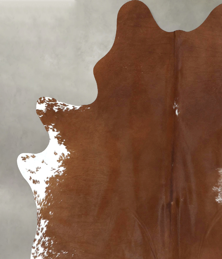Brown and White Regular X-Large Brazilian Cowhide Rug 7'7"H x 5'11"W #B21041 by Hudson Hides