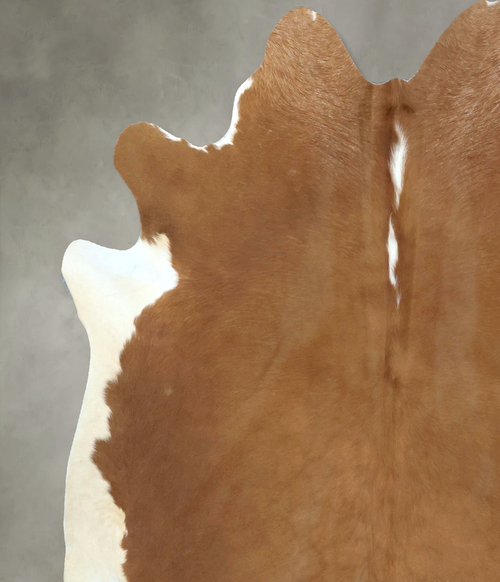 Brown and White Regular X-Large Brazilian Cowhide Rug 6'10"H x 6'6"W #B21059 by Hudson Hides