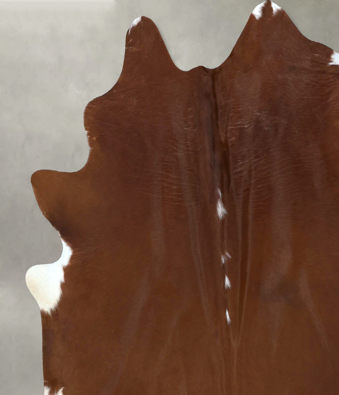 Brown and White Regular X-Large Brazilian Cowhide Rug 7'0"H x 6'6"W #B