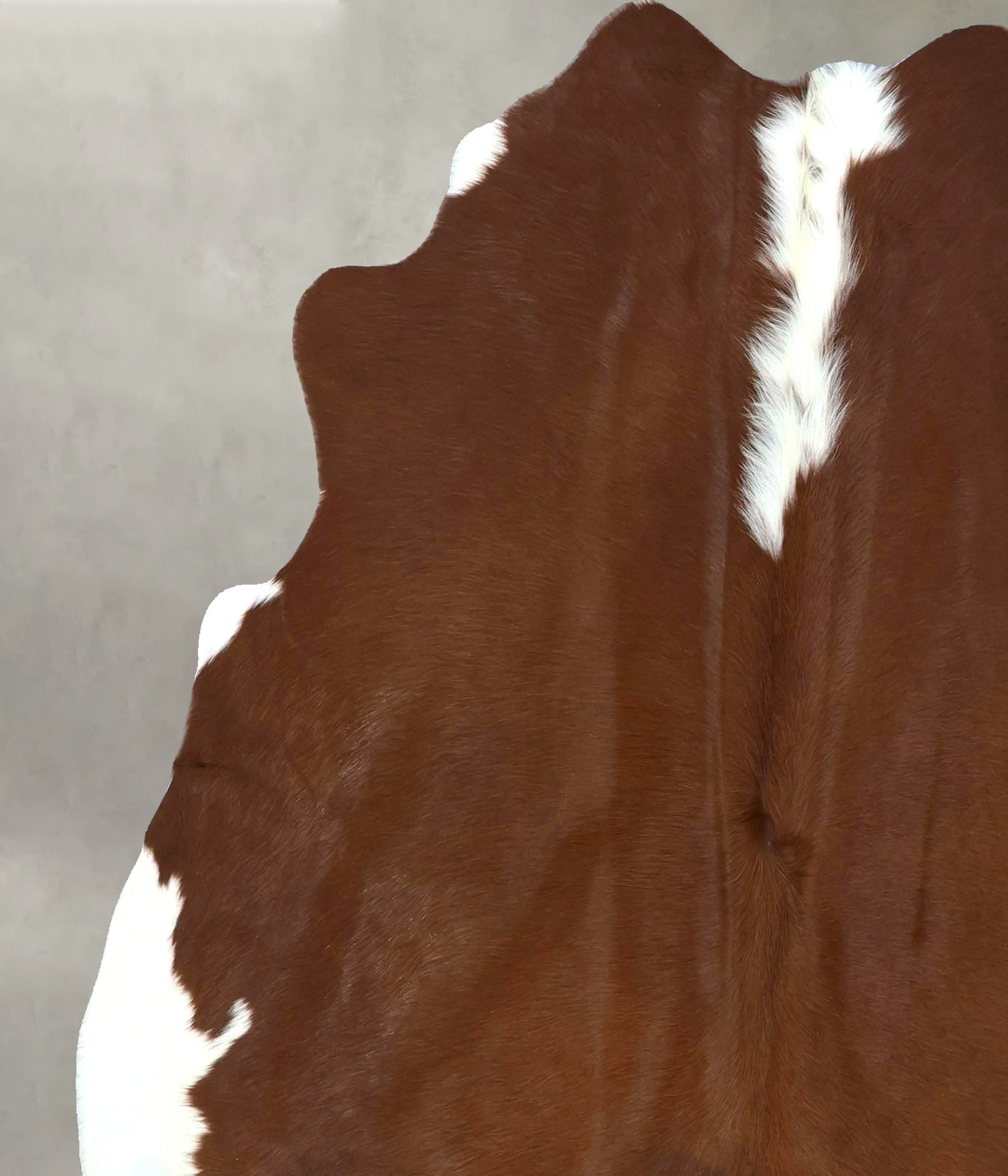 Brown and White Regular Large Brazilian Cowhide Rug 6'5"H x 5'5"W #B21