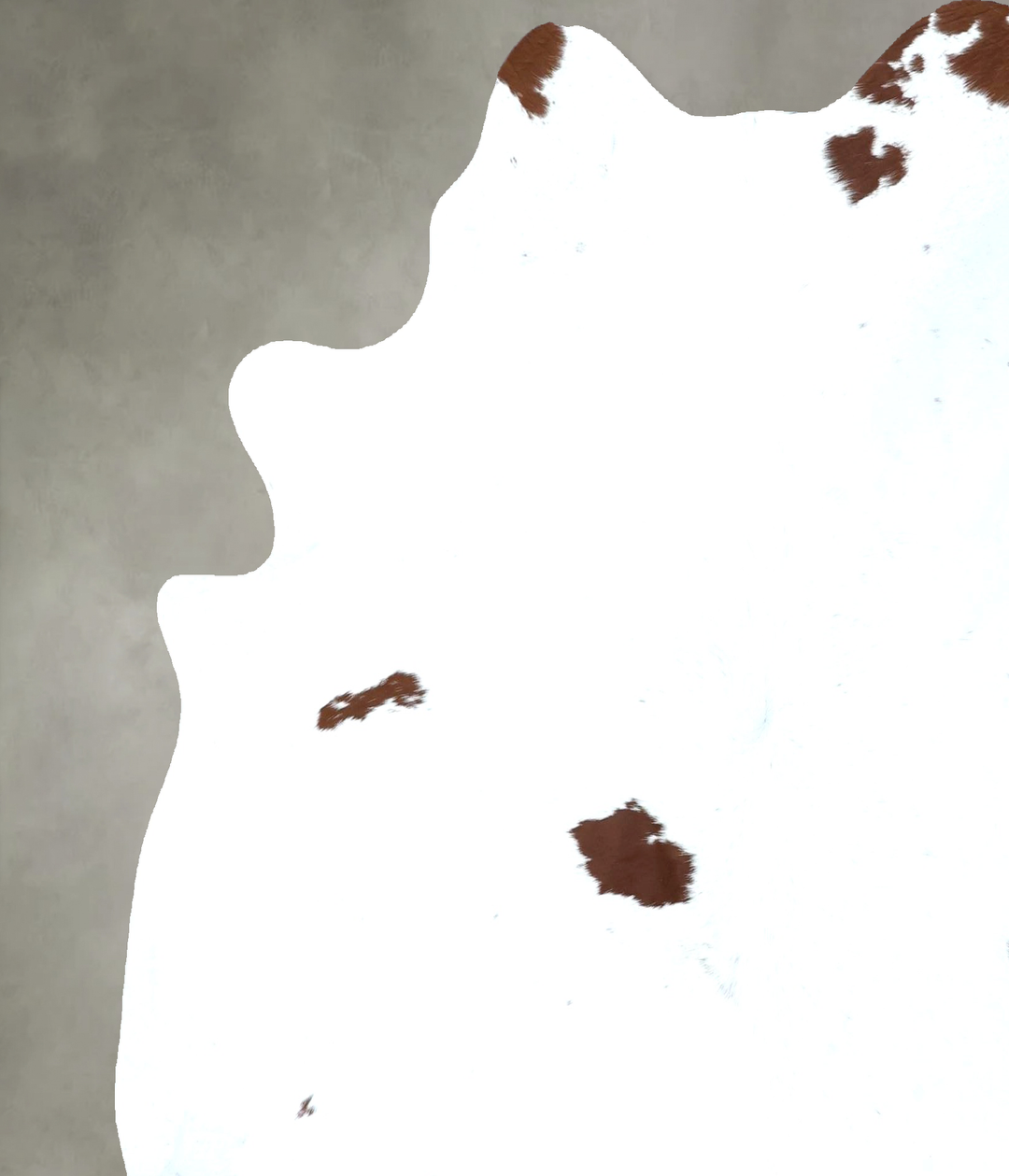 Brown and White Regular X-Large Brazilian Cowhide Rug 6'8"H x 6'4"W #B