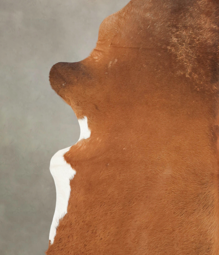 Brown and White Regular XX-Large Brazilian Cowhide Rug 7'8"H x 6'10"W #B2180 by Hudson Hides