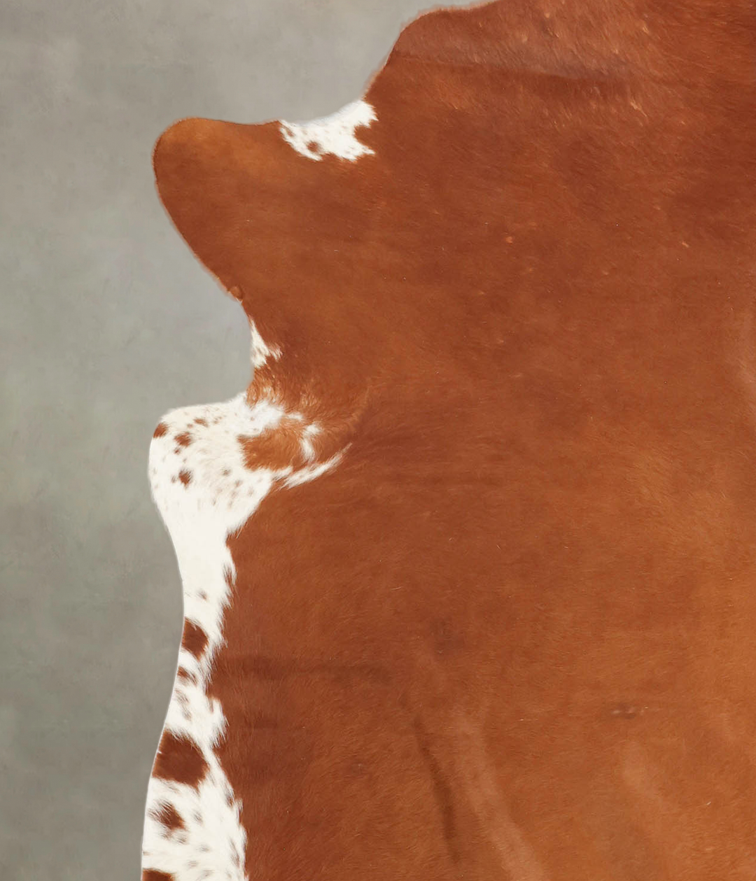 Brown and White Regular X-Large Brazilian Cowhide Rug 7'5"H x 6'6"W #B