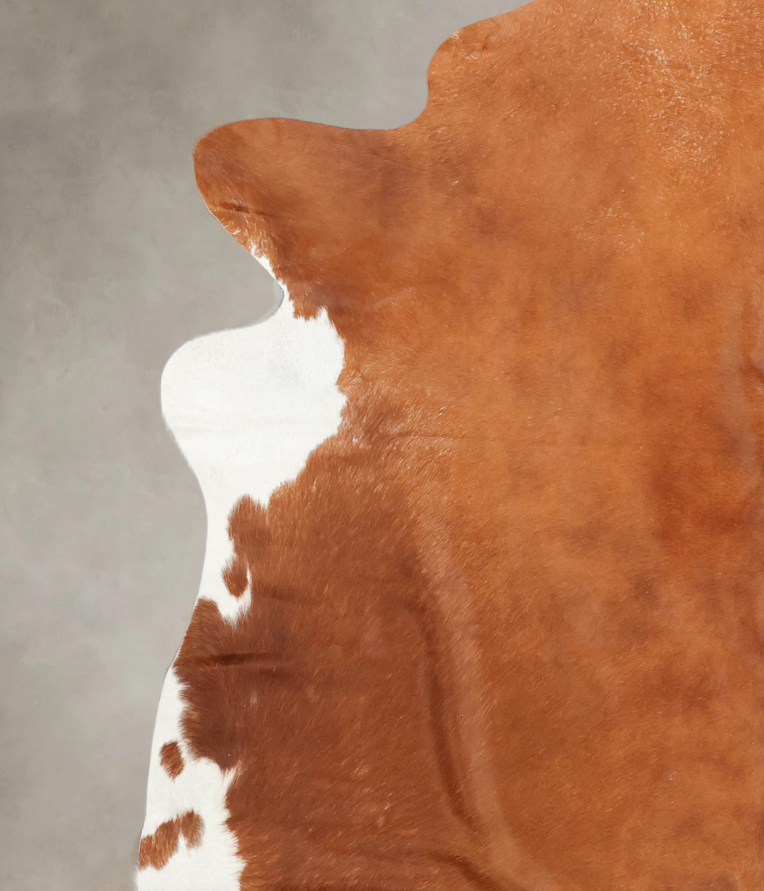 Brown and White Regular XX-Large Brazilian Cowhide Rug 7'7"H x 7'0"W #