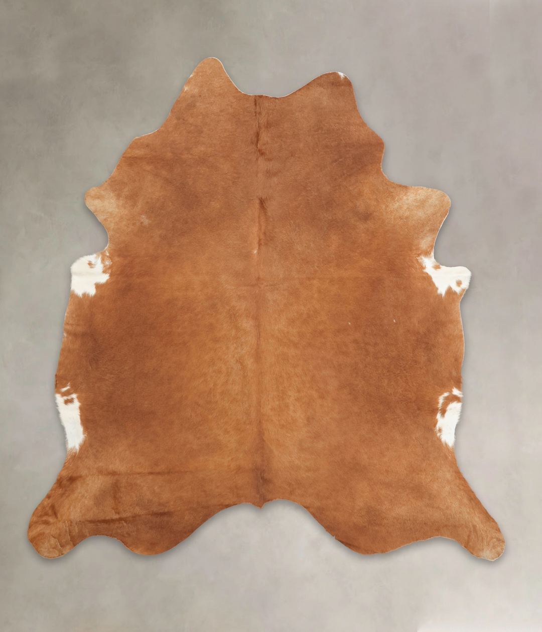 Brown and White Regular XX-Large Brazilian Cowhide Rug 7'11"H x 7'4"W