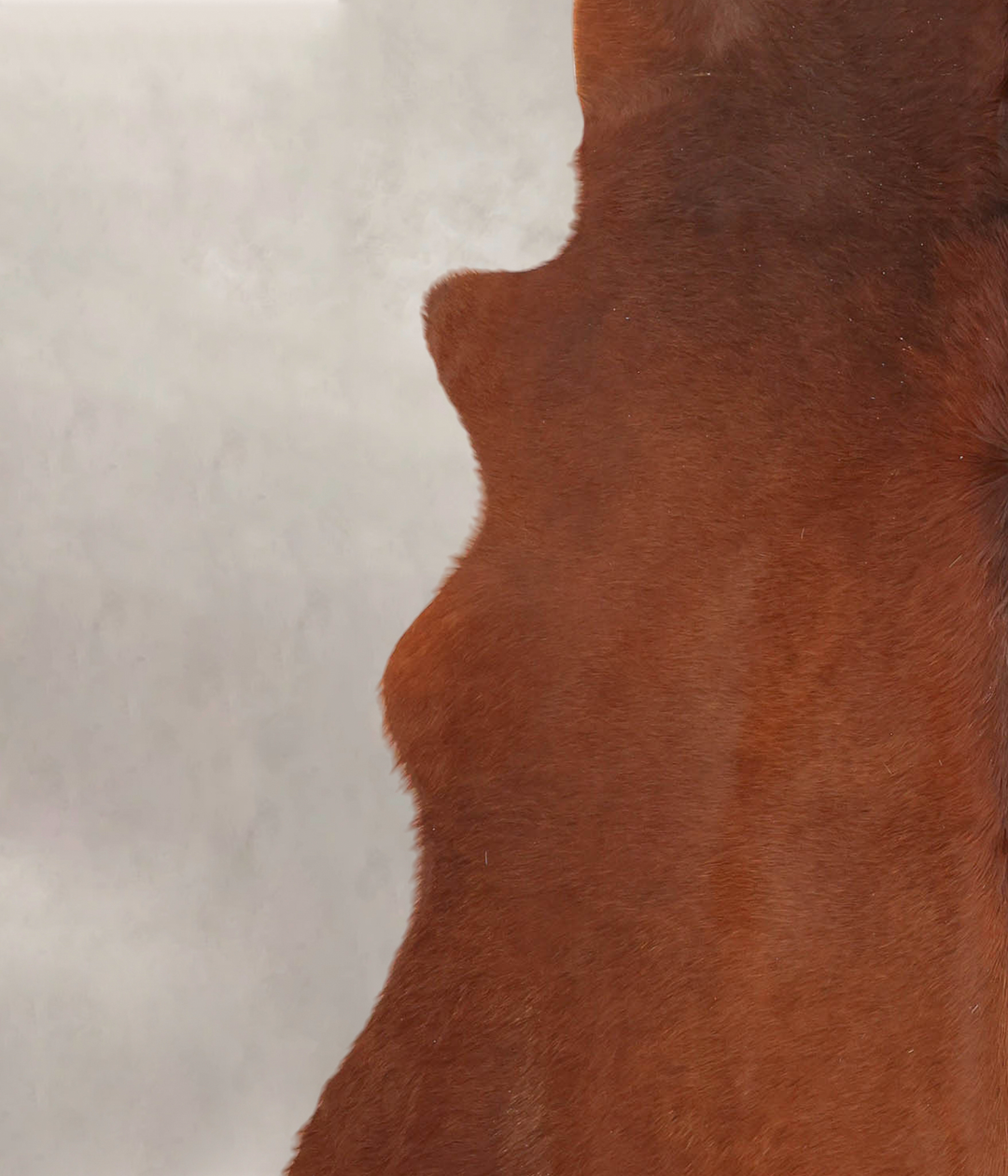 Brown and White Regular XX-Large Brazilian Cowhide Rug 7'11"H x 6'6"W