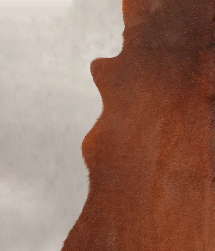 Brown and White Regular XX-Large Brazilian Cowhide Rug 7'11"H x 6'6"W #B3529 by Hudson Hides