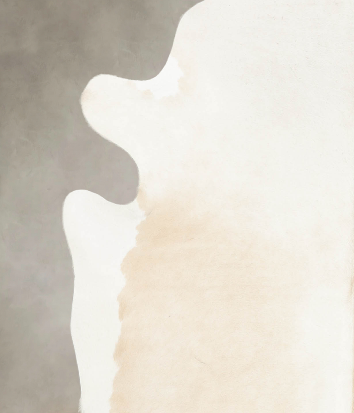 Beige and White X-Large Brazilian Cowhide Rug 7'7"H x 6'4"W #B3868 by Hudson Hides