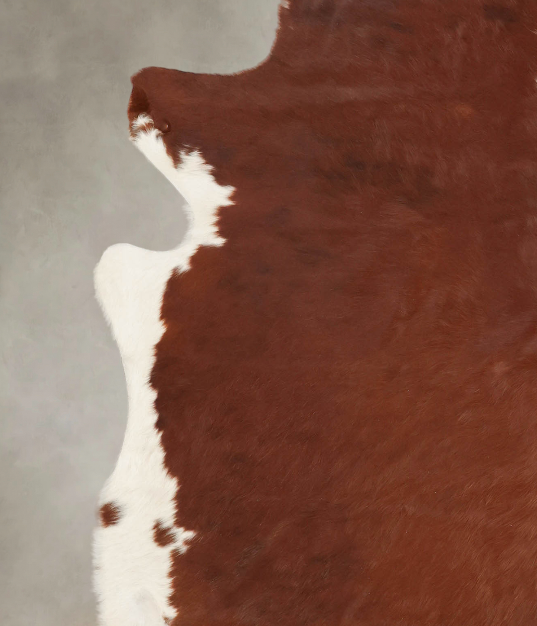 Brown and White Regular X-Large Brazilian Cowhide Rug 7'1"H x 6'9"W #B