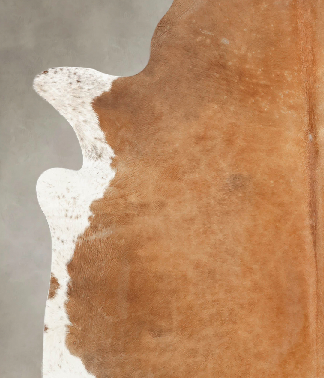 Brown and White Regular XX-Large Brazilian Cowhide Rug 7'3"H x 7'0"W #