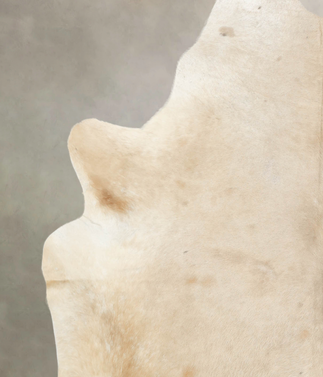 Palomino XX-Large Brazilian Cowhide Rug 8'9"H x 7'1"W #B4683 by Hudson