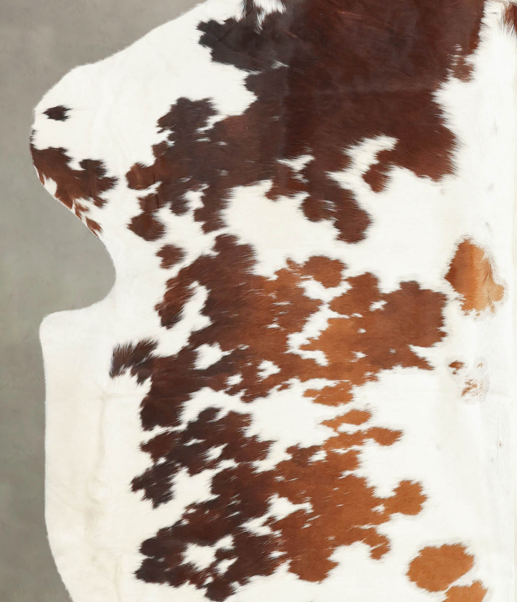 Brown and White Cowhide Rug #B5935