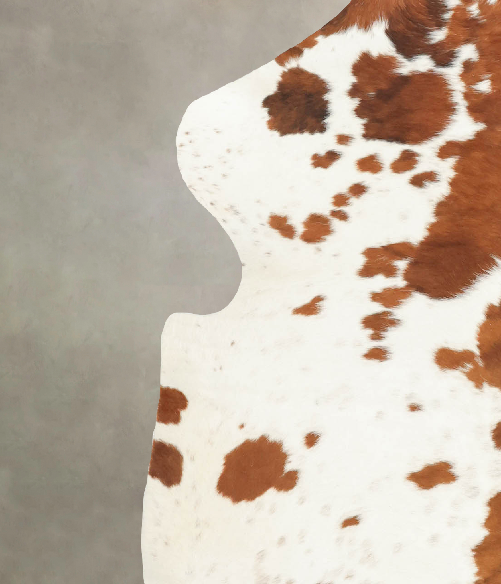 Brown and White Cowhide Rug #B6281