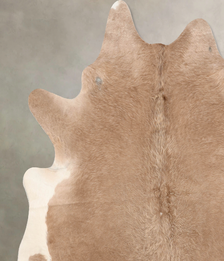 Champagne X-Large Brazilian Cowhide Rug 6'10"H x 6'4"W #B6998 by Hudson Hides