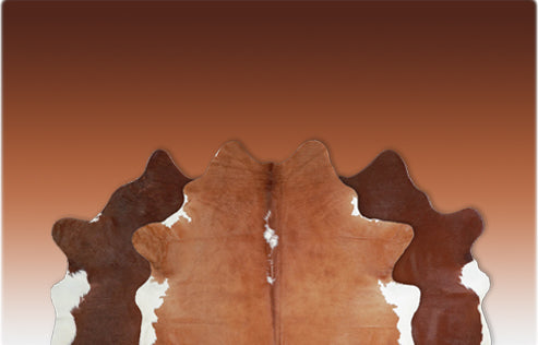 Brown & White Regular Cowhide Rugs