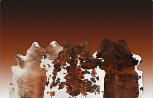Tricolor Cowhide Rugs