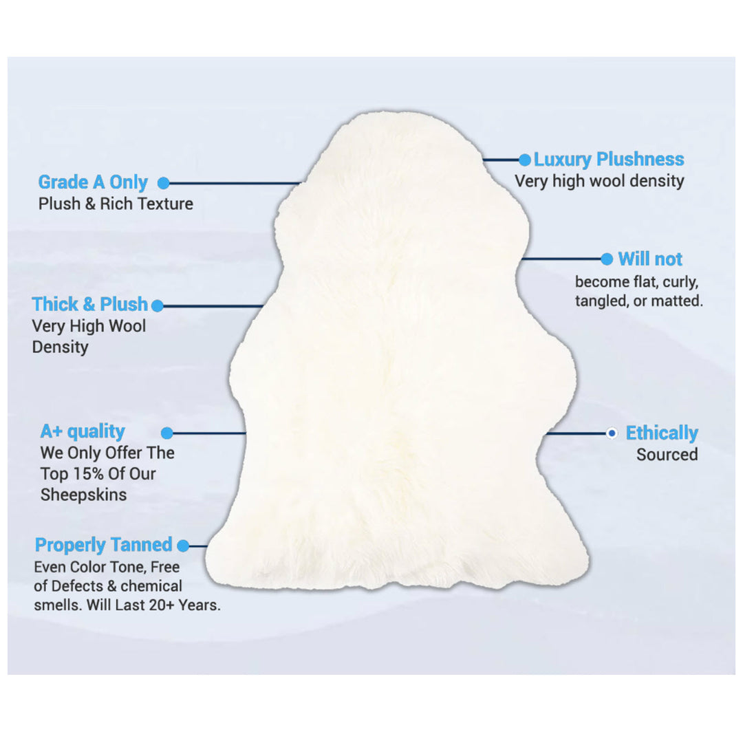 White Tibetan Lamb Single Sided Pillow 16" x 16" by Hudson Hides