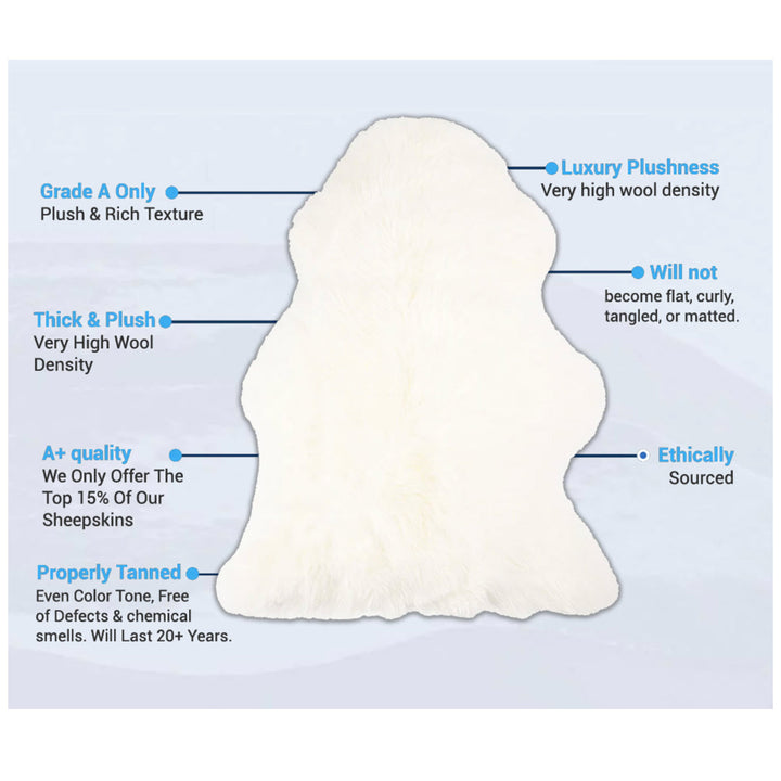 White Tibetan Lamb Single Sided Pillow 16" x 16" by Hudson Hides