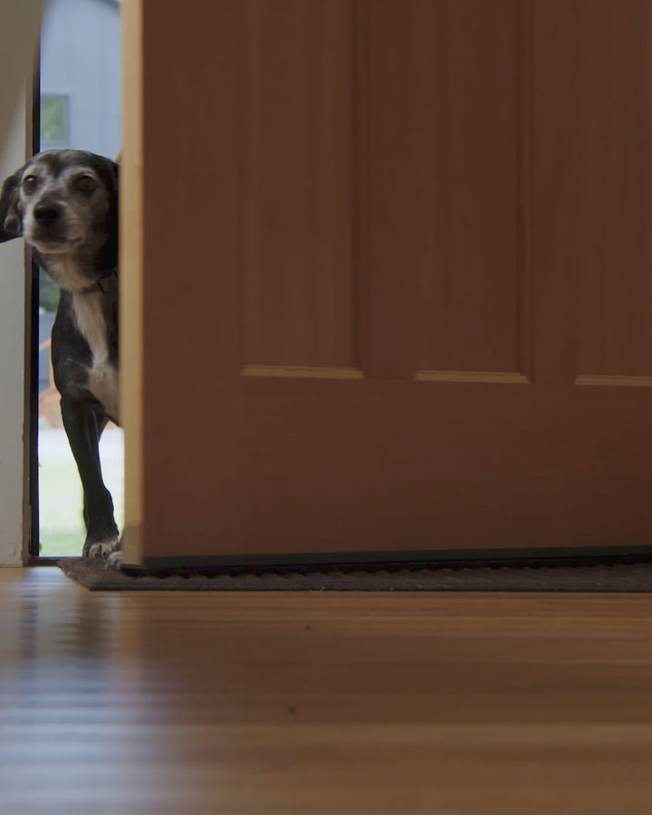 White Tibetan Lamb Single Sided Pillow 16" x 16" by Hudson Hides