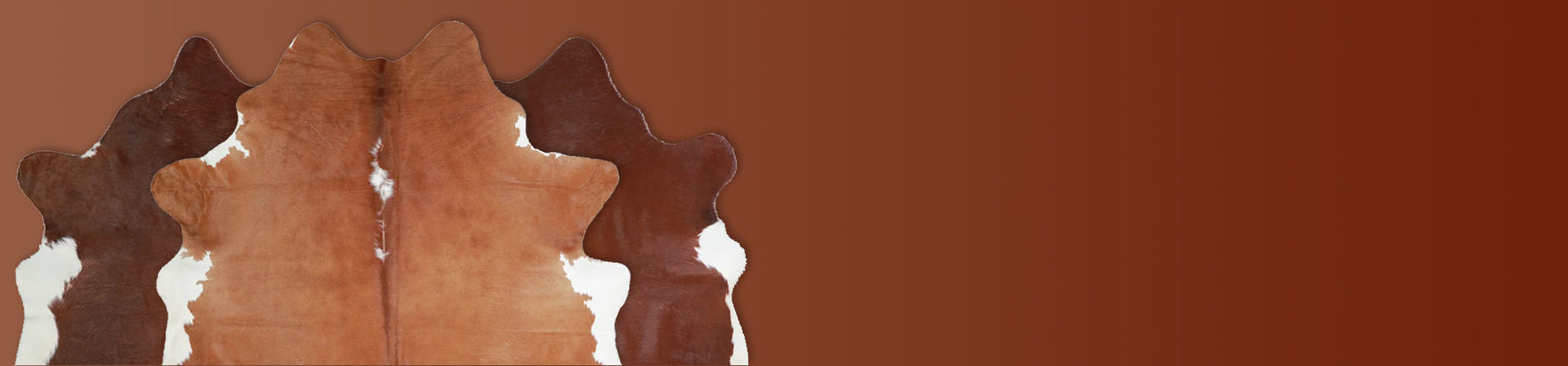 Brown & White Regular Cowhide Rugs