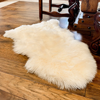 2’x3’ Rugs