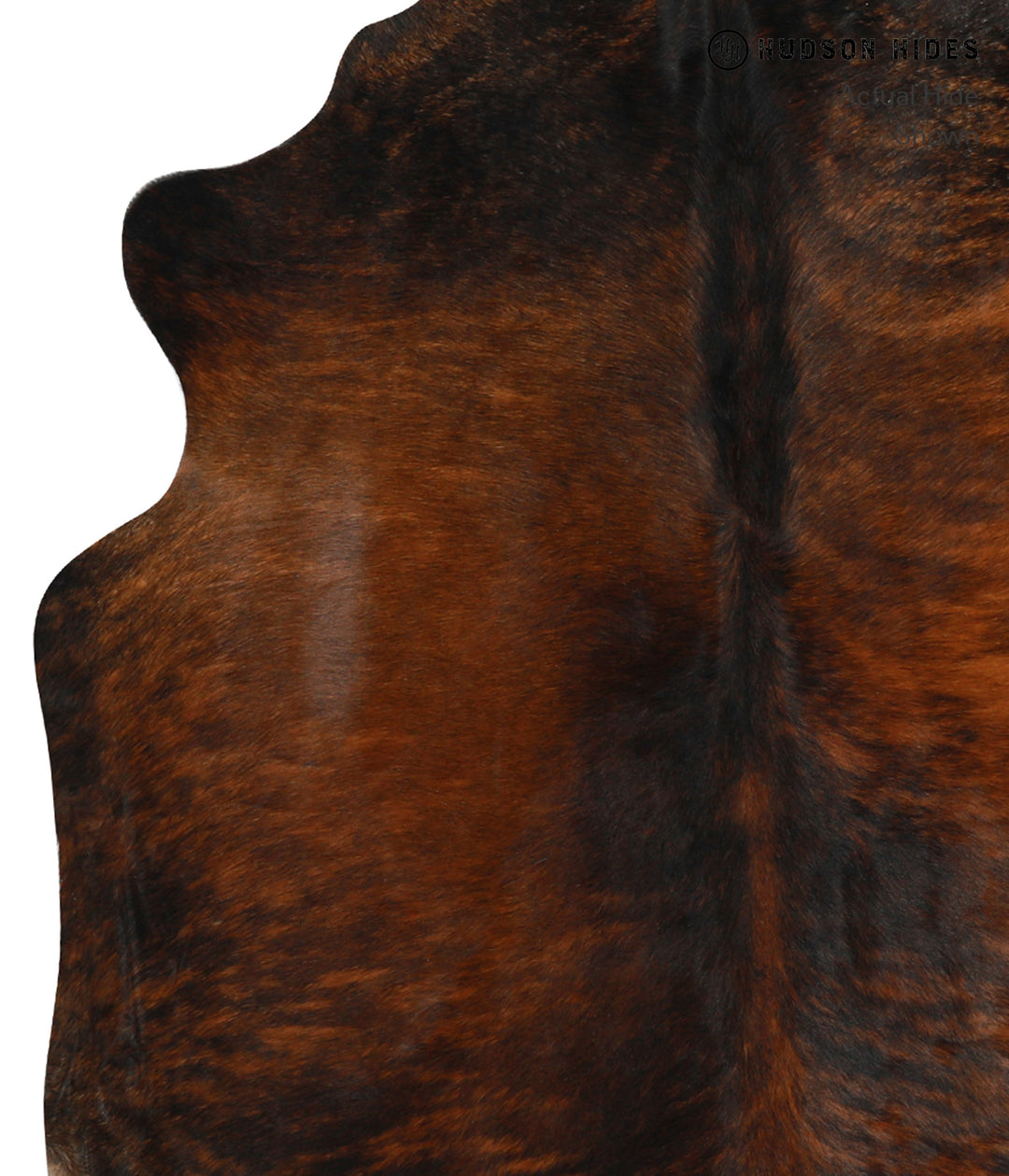 Dark Brindle X-Large Brazilian Cowhide Rug 6'6"H x 6'4"W #29648 by Hud
