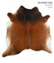 Brown with Red X-Large Brazilian Cowhide Rug 7'0