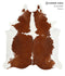Brown and White X-Large Brazilian Cowhide Rug 7'10