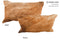 Medium Brindle 12