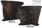 Dark Brindle 20