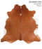 Brown and White Regular X-Large Brazilian Cowhide Rug 6'8