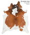 Brown and White X-Large Brazilian Cowhide Rug 7'6