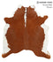 Brown and White Regular X-Large Brazilian Cowhide Rug 6'11