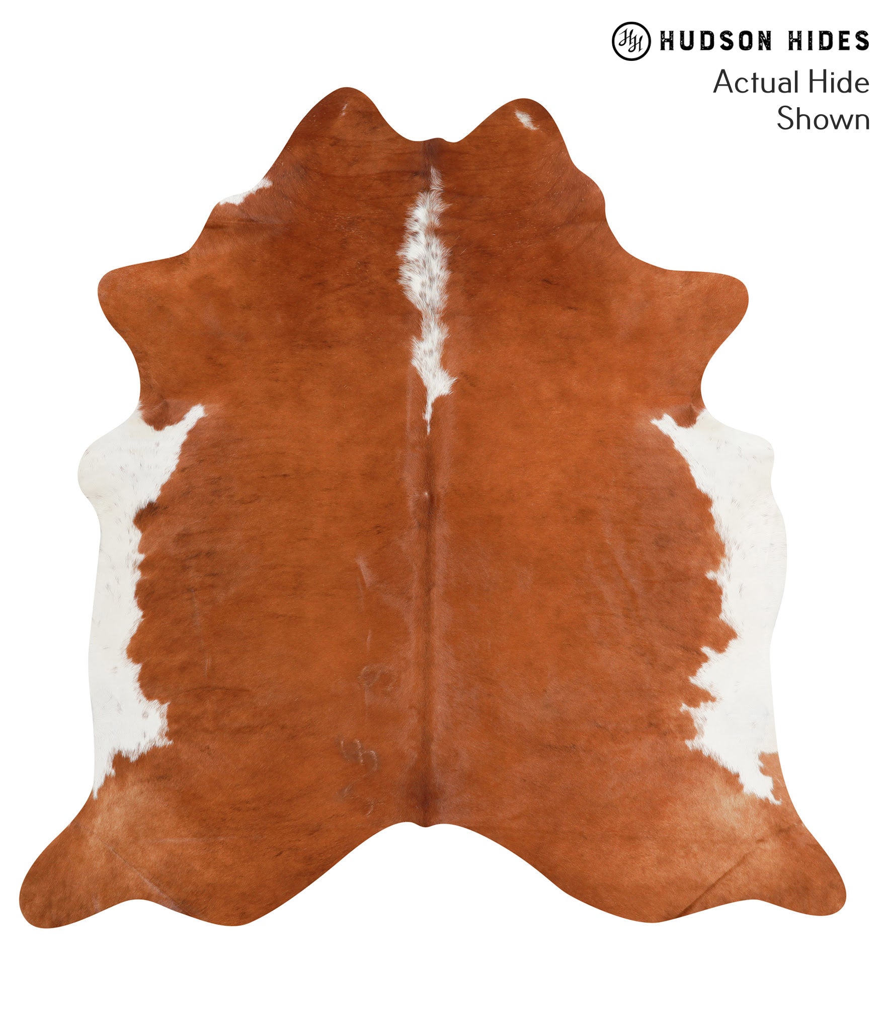Brown and White Regular XLarge Brazilian Cowhide Rug 7'0"H x 6'10"W
