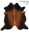 Brown with Red X-Large Brazilian Cowhide Rug 7'0
