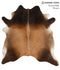 Brown with Red XX-Large Brazilian Cowhide Rug 7'5