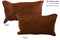 Solid Brown 12